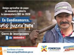 Convocatoria a productores de papa del departamento