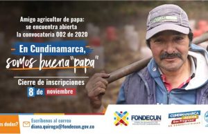 Convocatoria a productores de papa del departamento