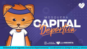 Conoce las principales actividades y programas que se desarrollan desde la Secretaría del deporte