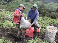 Seleccionadas 261 asociaciones y cooperativas de Cundinamarca para su reactivación