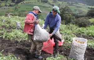 Seleccionadas 261 asociaciones y cooperativas de Cundinamarca para su reactivación