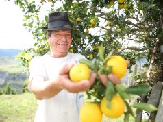 Amplían plazo para la convocatoria “Alianzas Productivas para la vida fase II”