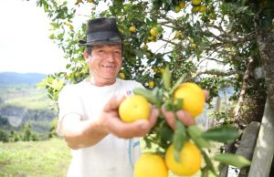 Amplían plazo para la convocatoria “Alianzas Productivas para la vida fase II”