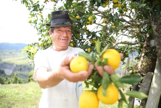 Amplían plazo para la convocatoria “Alianzas Productivas para la vida fase II”