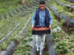 Llegó el comercio Tiendas Cundinamarca