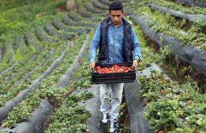 Llegó el comercio Tiendas Cundinamarca