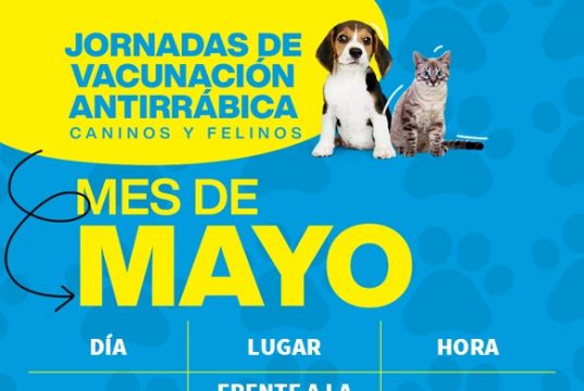 Jornadas de vacunación antirrábica en Mosquera