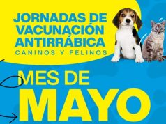 Jornadas de vacunación antirrábica en Mosquera