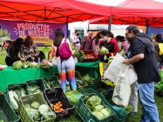 Llegaron las plazas campesinas a Mosquera
