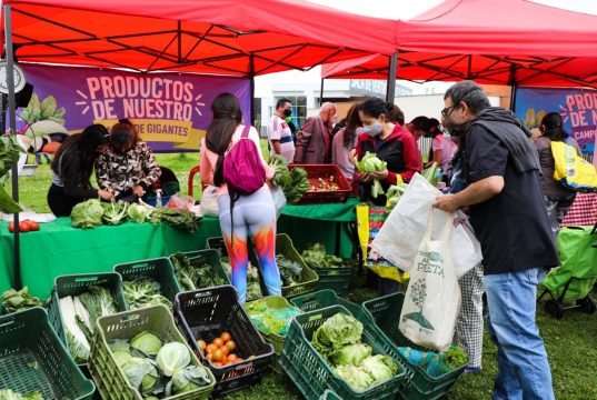 Llegaron las plazas campesinas a Mosquera