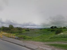 Sembratón de árboles en Mosquera