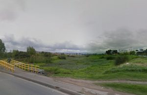 Sembratón de árboles en Mosquera