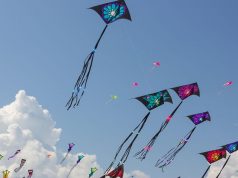 Festival de Cometas en Mosquera