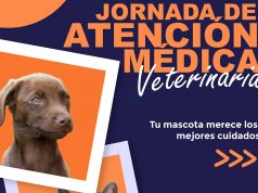 Jornadas de atención veterinaria en Mosquera