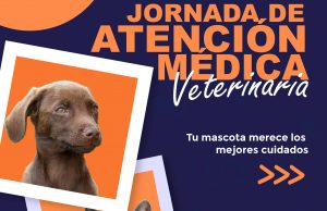 Jornadas de atención veterinaria en Mosquera
