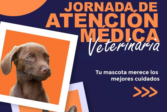 Jornadas de atención veterinaria en Mosquera