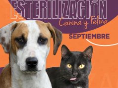 Jornadas de esterilización Mosquera