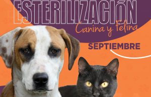 Jornadas de esterilización Mosquera