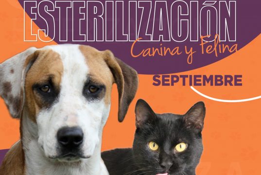 Jornadas de esterilización Mosquera