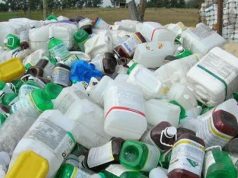 ¡Hoy por el medio ambiente! Jornada de recolección veredal