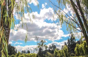La CAR Cundinamarca celebra el Mes de la Biodiversidad