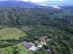 Cundinamarca protege las zonas ambientales