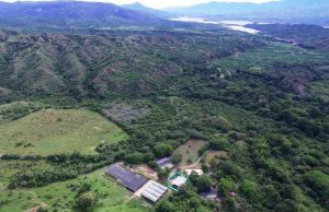 Cundinamarca protege las zonas ambientales