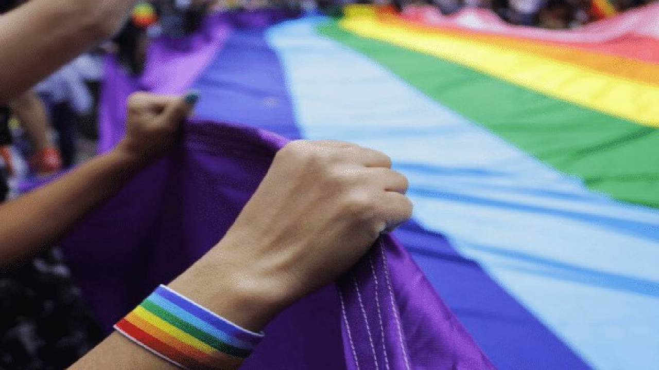 Tras agresión a pareja gay, Bogotá activó plan para defender a las personas  LGBT - OTV Television