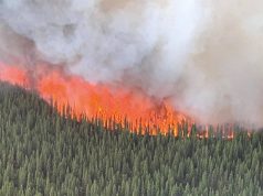 Cundinamarca en alerta naranja por incendios forestales
