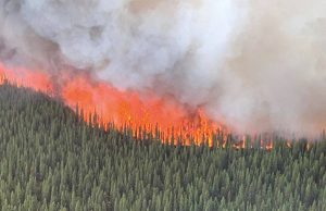 Cundinamarca en alerta naranja por incendios forestales