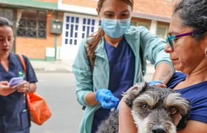 Jornada de vacunación para mascotas en Mosquera