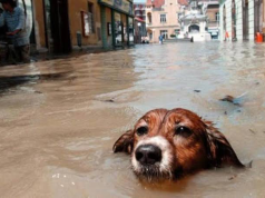 Ola invernal en Cundinamarca afectó a 2.500 familias