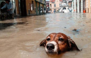 Ola invernal en Cundinamarca afectó a 2.500 familias
