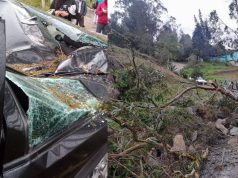 Emergencia en Chipaque: árbol cayó sobre vehículo