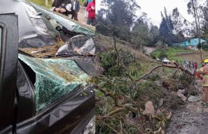 Emergencia en Chipaque: árbol cayó sobre vehículo