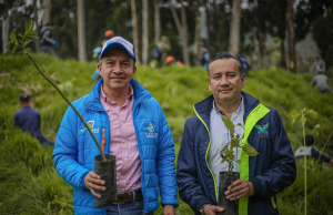 Habitantes de Madrid sembraron 2.000 árboles en el río Subachoque