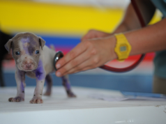 Inicia la jornada médica veterinaria en Mosquera