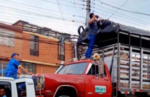 Un curioso caso de imprudencia se vivió en Funza