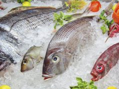 Gobernación entrega recomendaciones para prevenir enfermedades