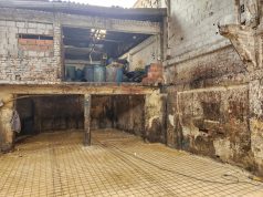 En Bogotá las autoridades sellaron un matadero clandestino