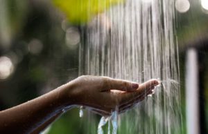 Semana del Agua: prográmese y participe en las actividades