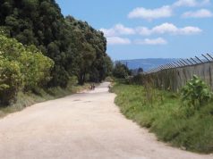 Horarios en los que estará habilitada la vía sin peaje