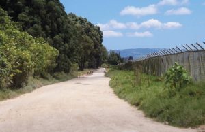 Horarios en los que estará habilitada la vía sin peaje