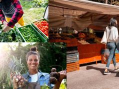 Partícipe del primer Mercado Campesino en Mosquera primer Mercado Campesino