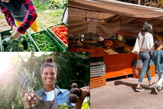 Partícipe del primer Mercado Campesino en Mosquera primer Mercado Campesino
