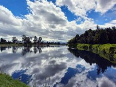 Regresan los recorridos por el Humedal Gualí