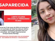 No hay pistas: familia busca a menor desaparecida desde hace un mes