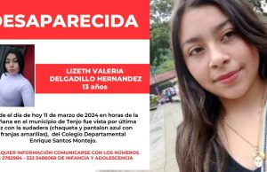 No hay pistas: familia busca a menor desaparecida desde hace un mes