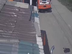 Desalmado: vehículo arrolló y dejó a su suerte a perrito en Mosquera