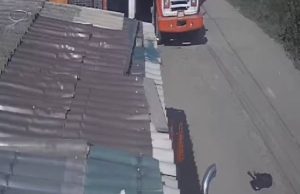 Desalmado: vehículo arrolló y dejó a su suerte a perrito en Mosquera